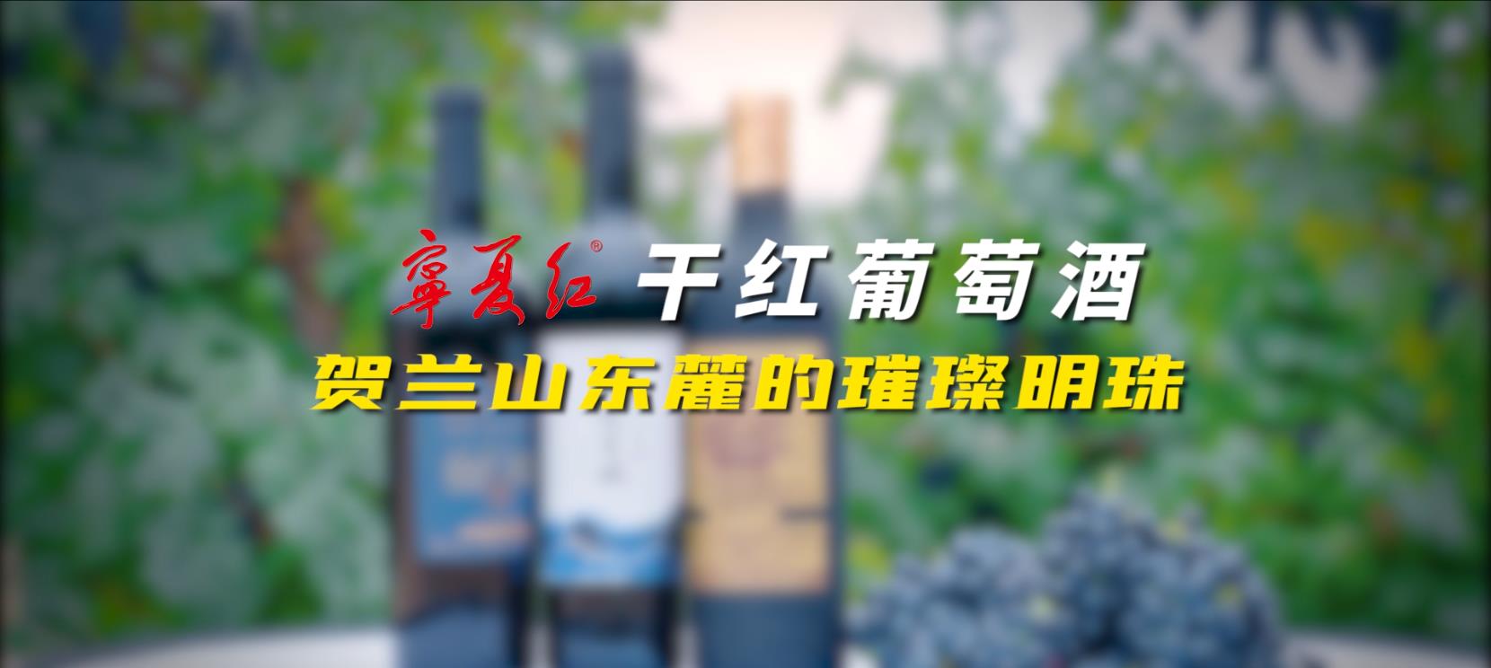 宁夏红干红葡萄酒系列